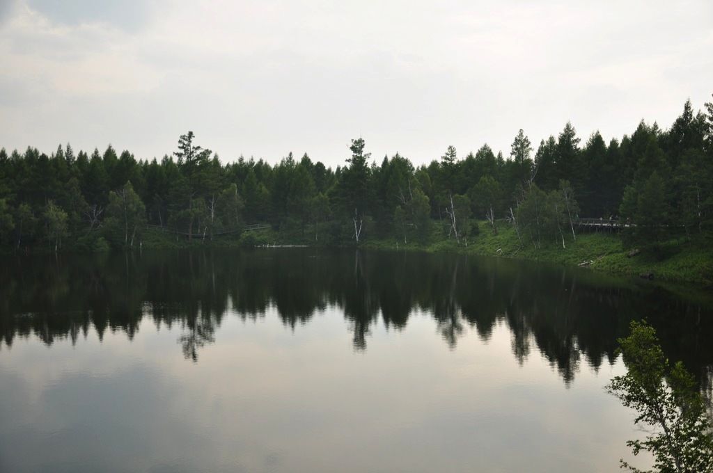 DSC_0861.jpg