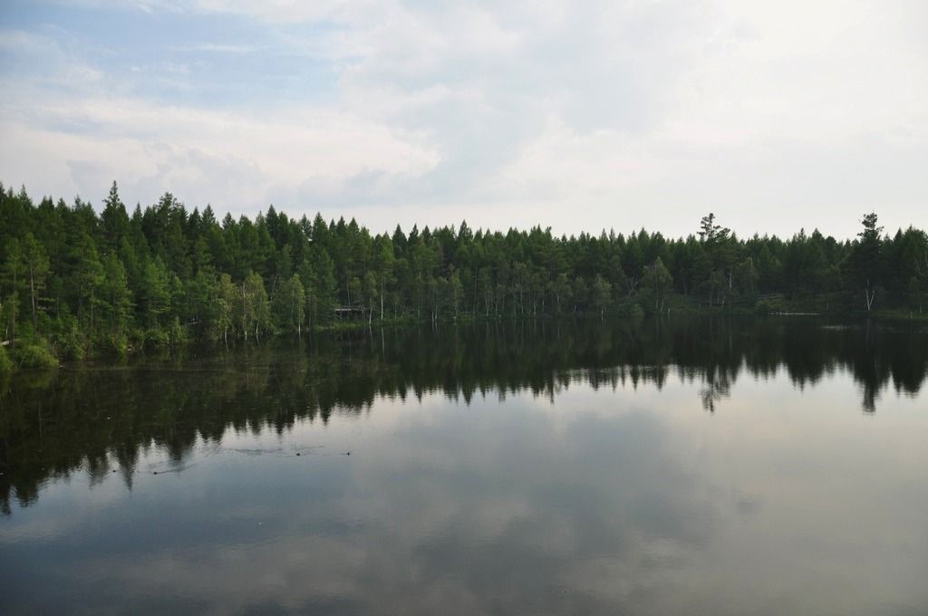 DSC_0858.jpg