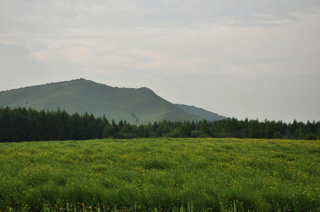 DSC_0884.jpg