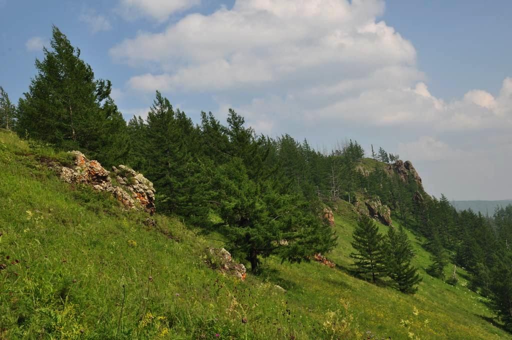 DSC_0772.jpg