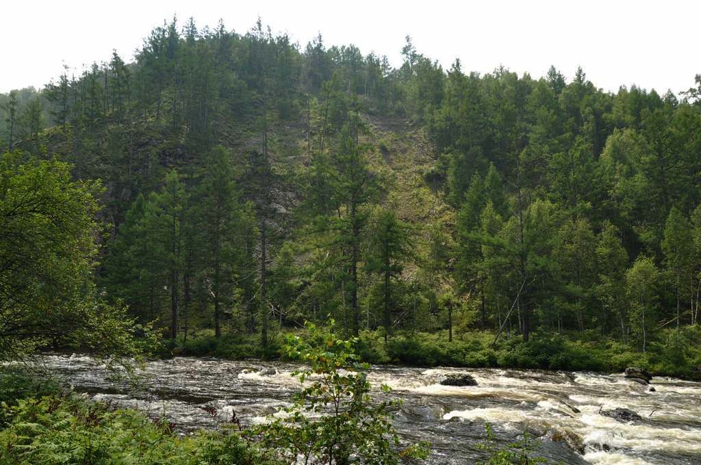 DSC_0629.jpg