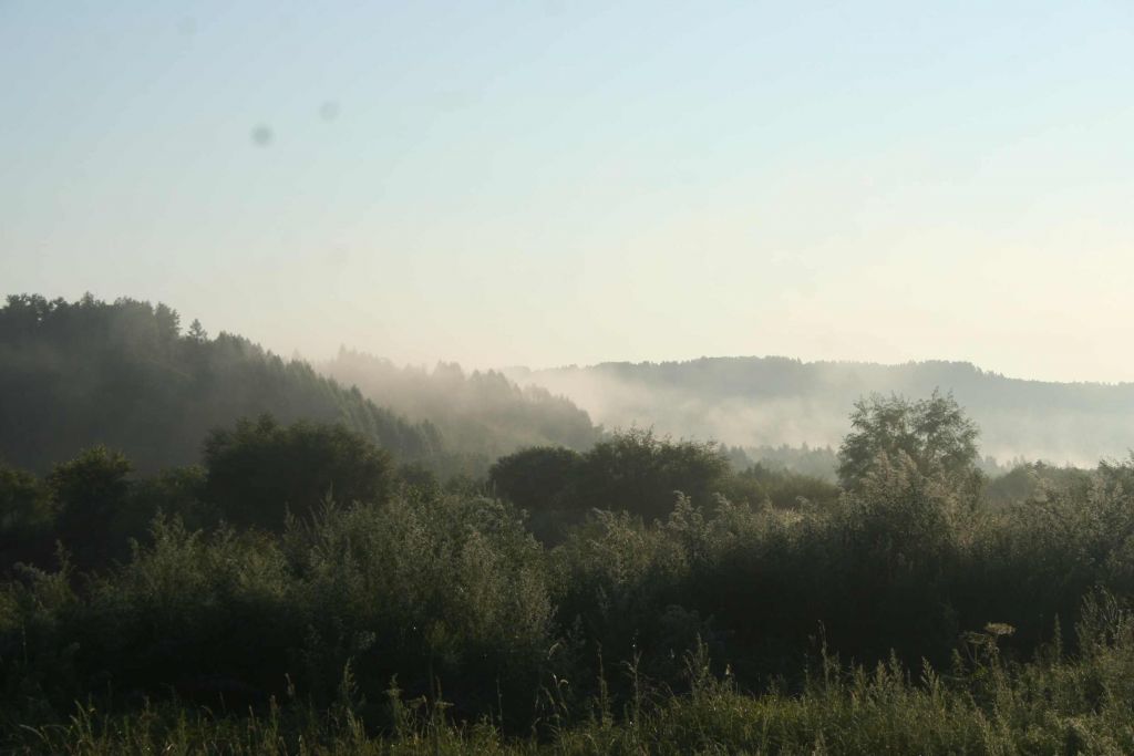 73.jpg