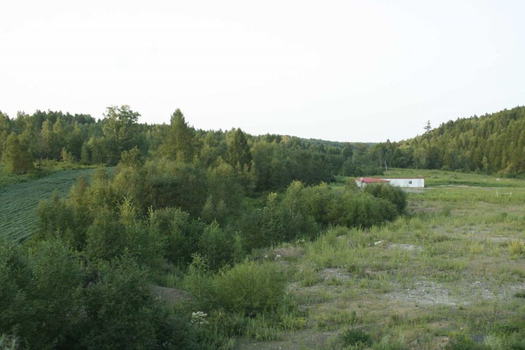 94.jpg