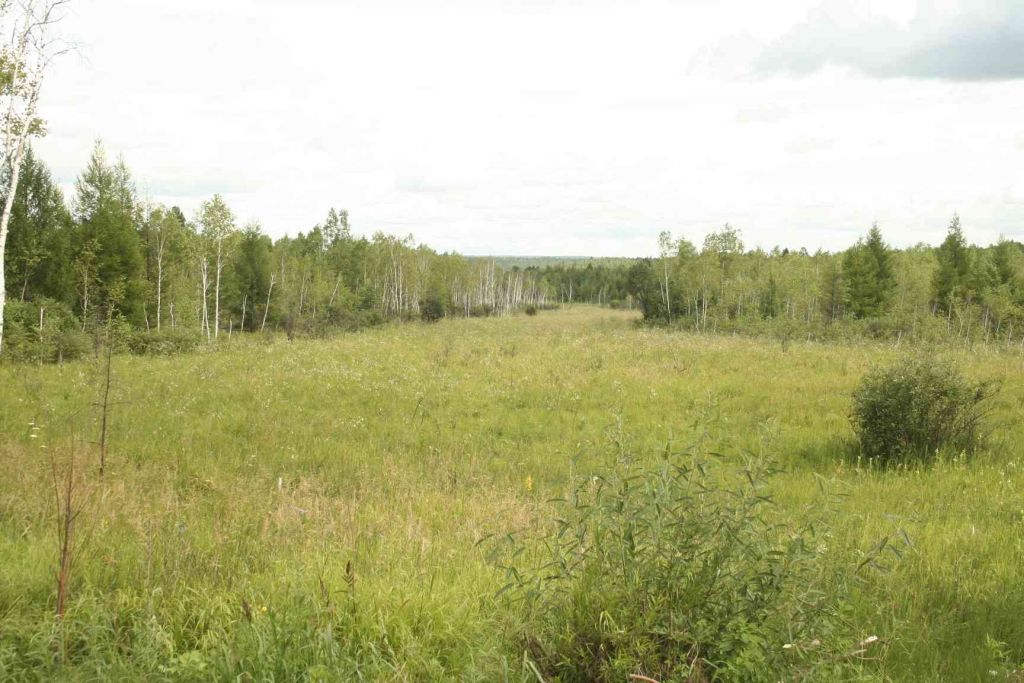 117.jpg