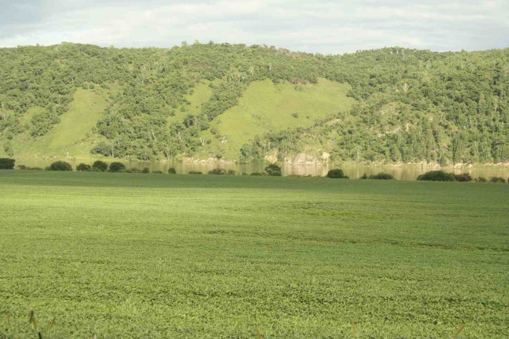 134.jpg