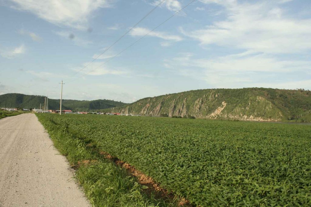 136.jpg