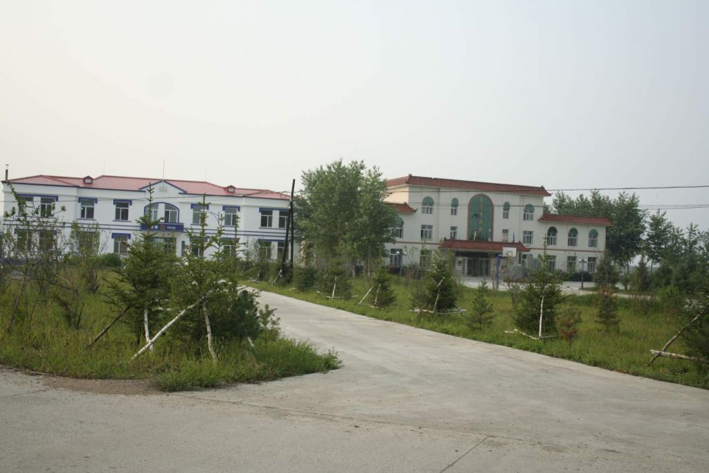 164.jpg
