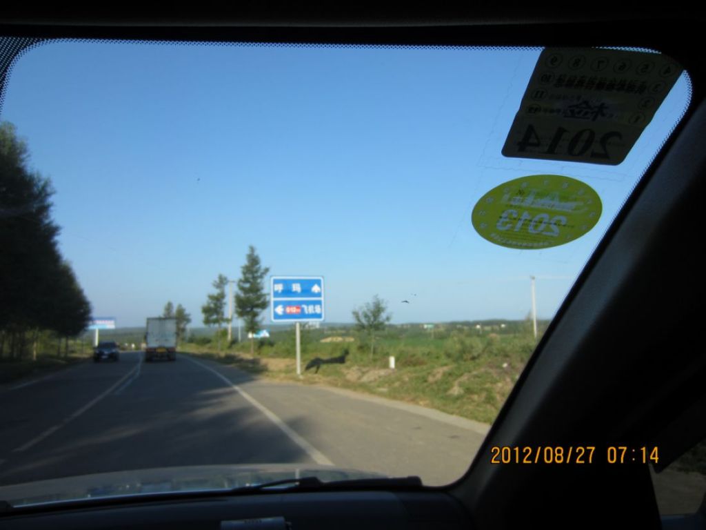 IMG_4028.jpg