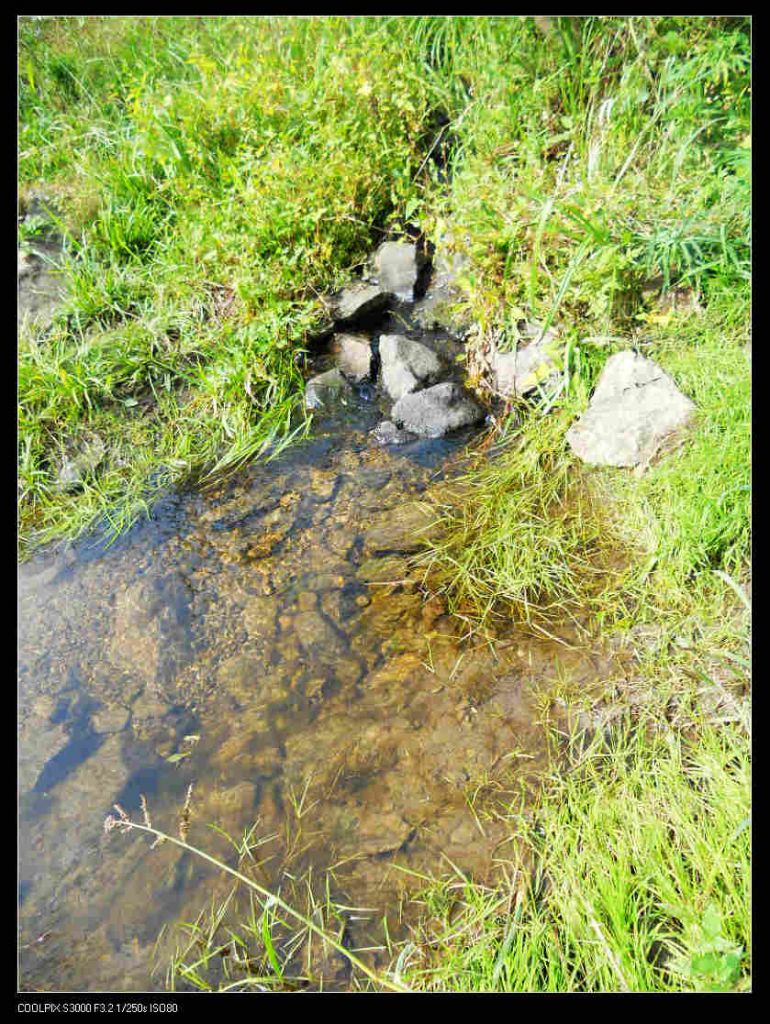 nEO_IMG_ƽ��ɽ 004.jpg