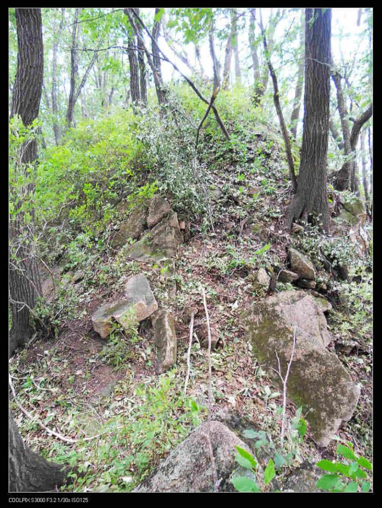 nEO_IMG_ƽ��ɽ 026.jpg