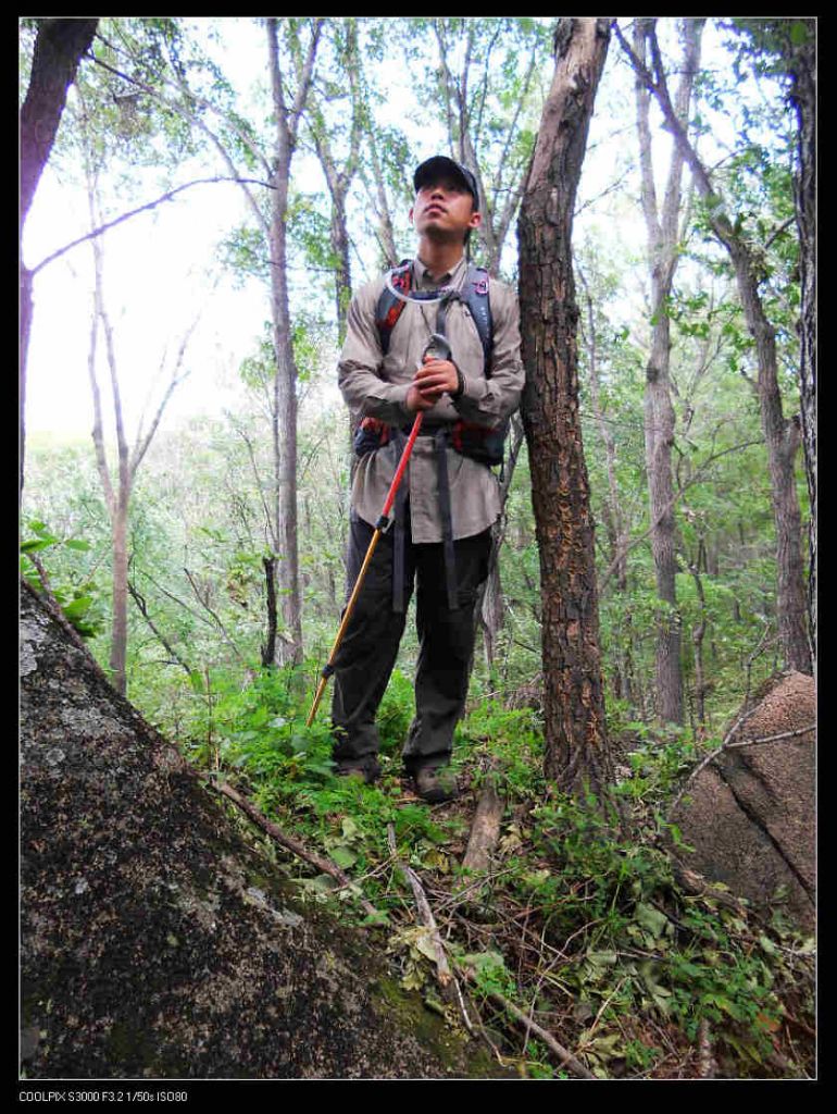 nEO_IMG_ƽ��ɽ 027.jpg