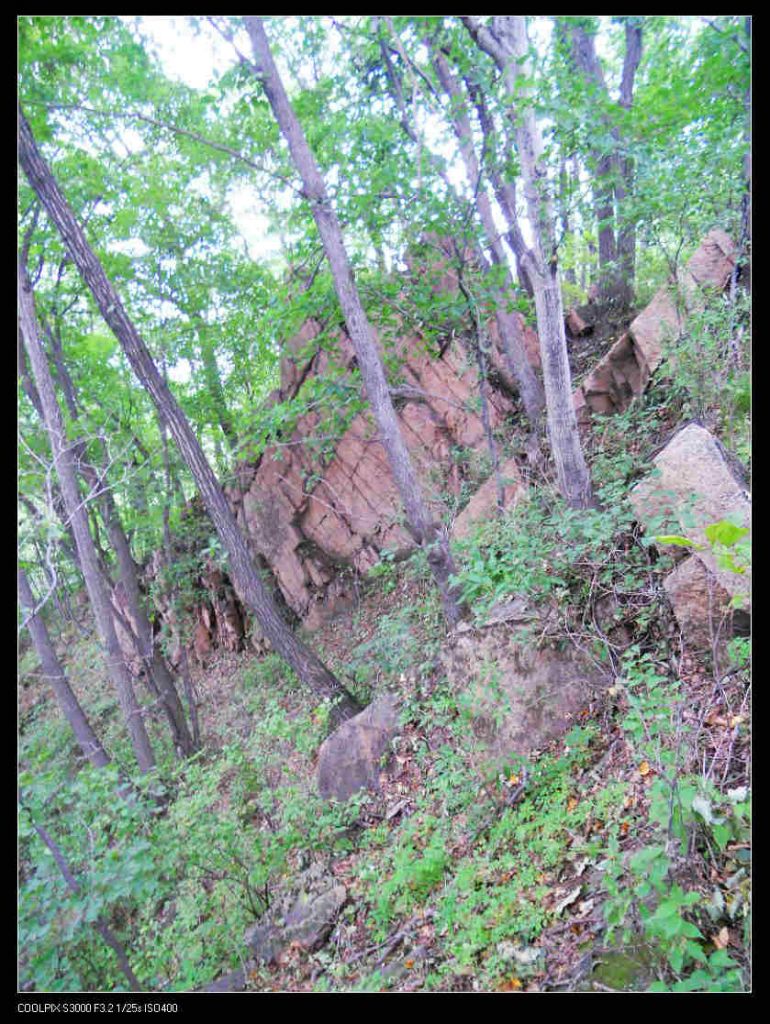 nEO_IMG_ƽ��ɽ 030.jpg