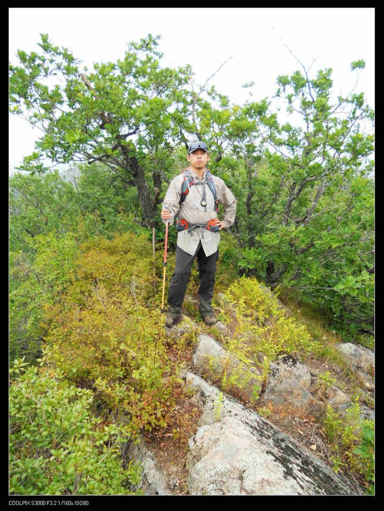 nEO_IMG_ƽ��ɽ 039.jpg