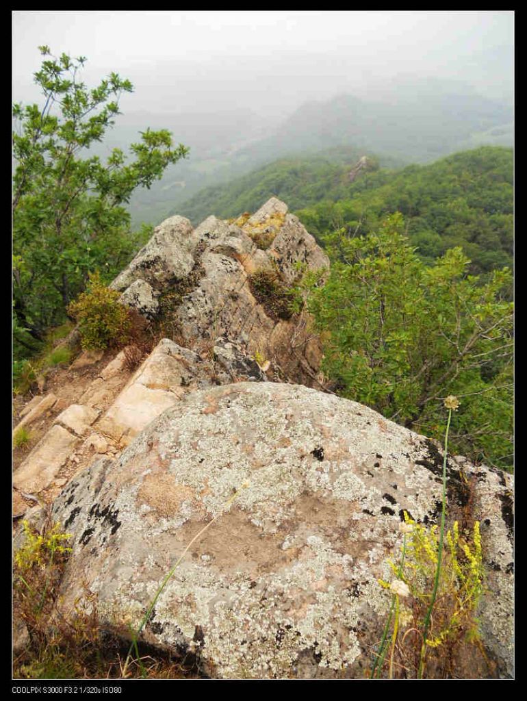 nEO_IMG_ƽ��ɽ 048.jpg