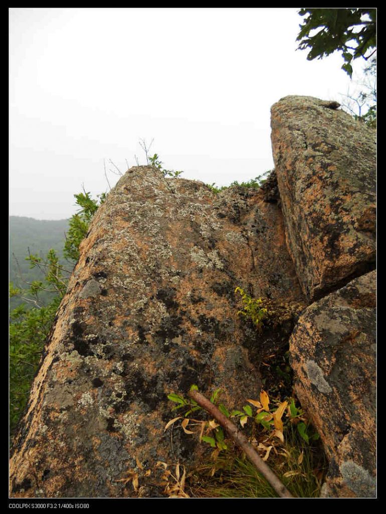 nEO_IMG_ƽ��ɽ 052.jpg