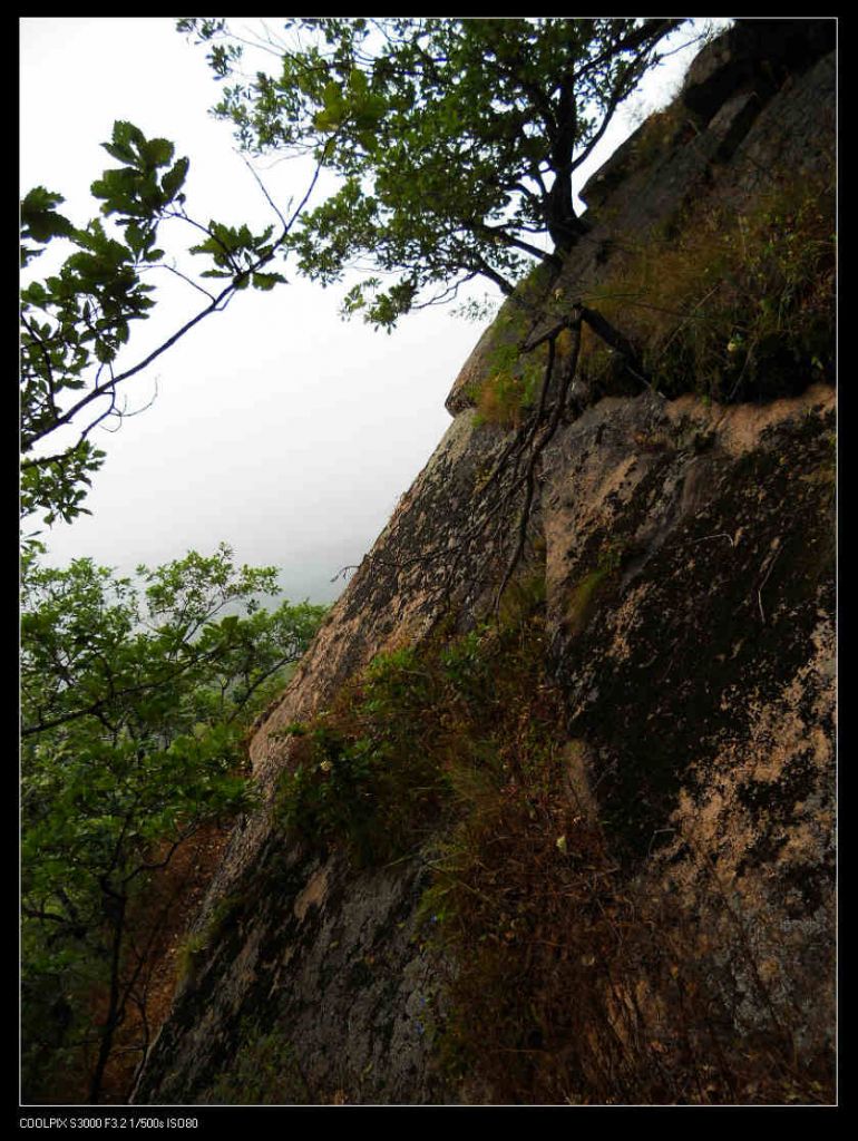 nEO_IMG_ƽ��ɽ 058.jpg