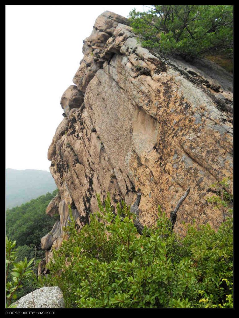 nEO_IMG_ƽ��ɽ 063.jpg