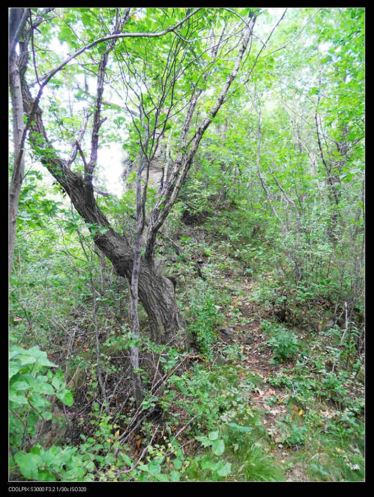 nEO_IMG_ƽ��ɽ 076.jpg