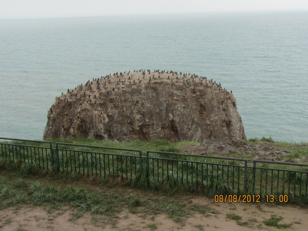 IMG_9402.jpg