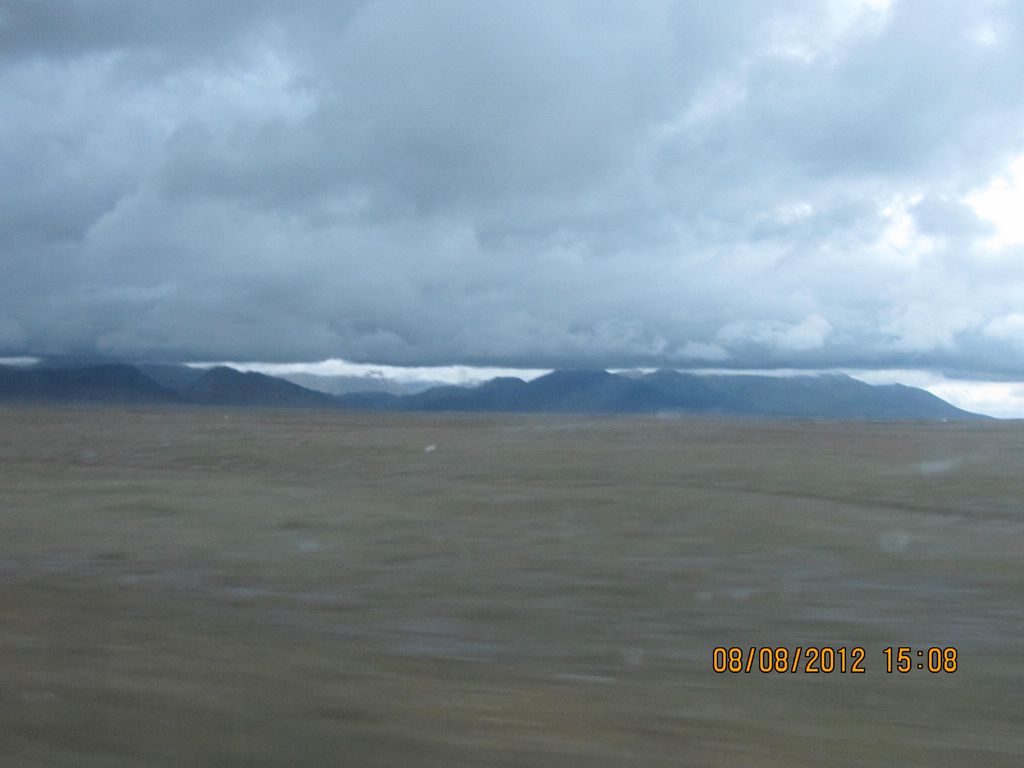 IMG_9442.jpg