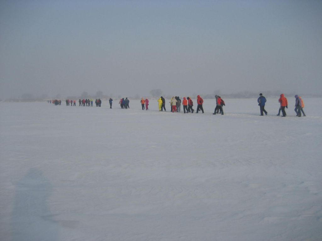 IMG_5958.JPG