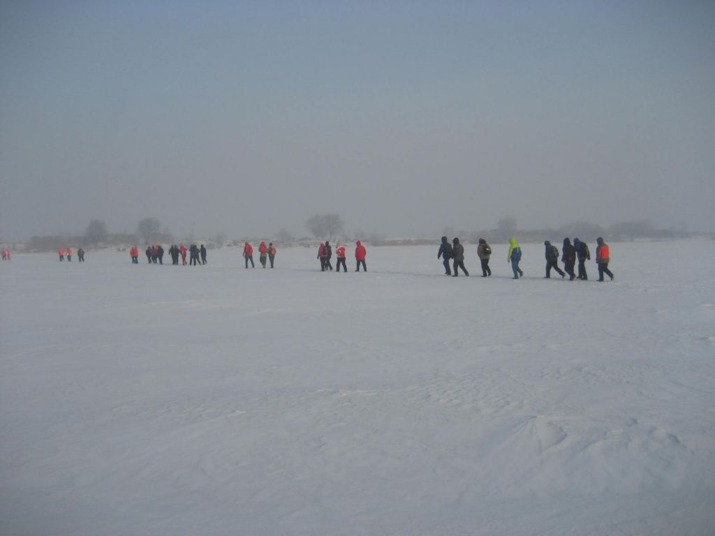 IMG_5960.JPG