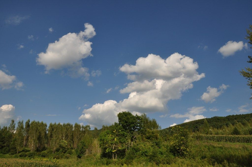 DSC_0345.jpg