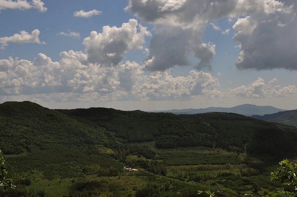 DSC_0197.jpg