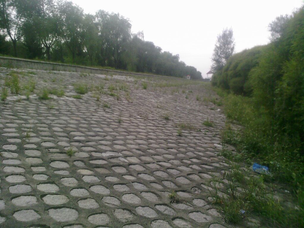 ��Ƭ-0012.jpg