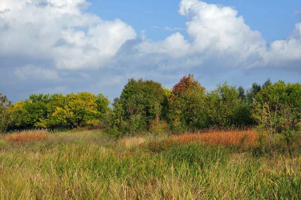DSC_0009.jpg