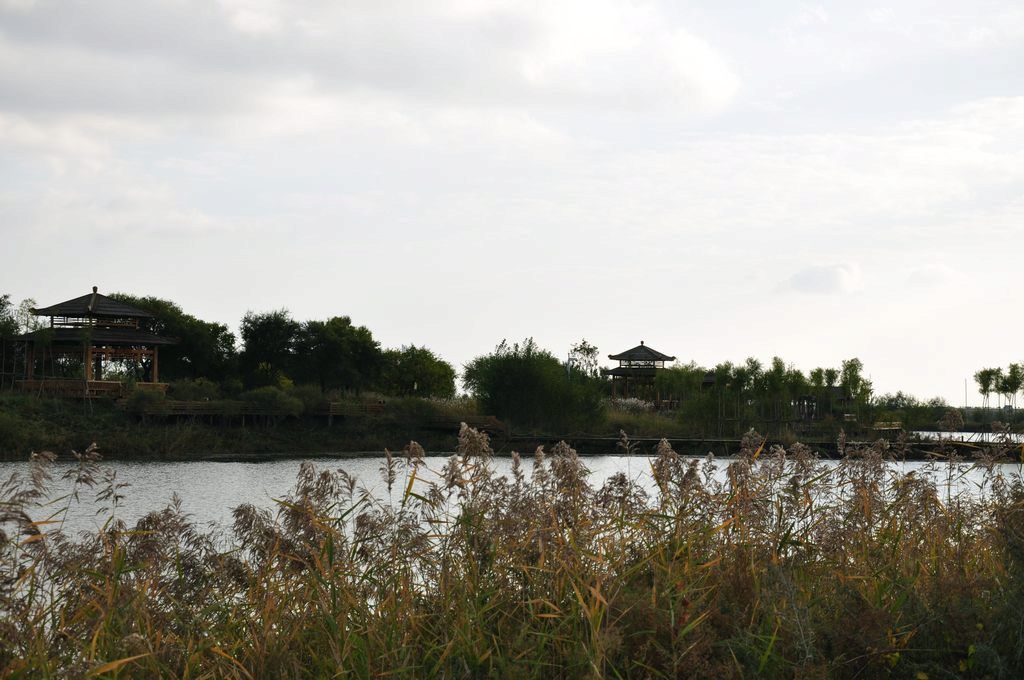 DSC_0036.jpg