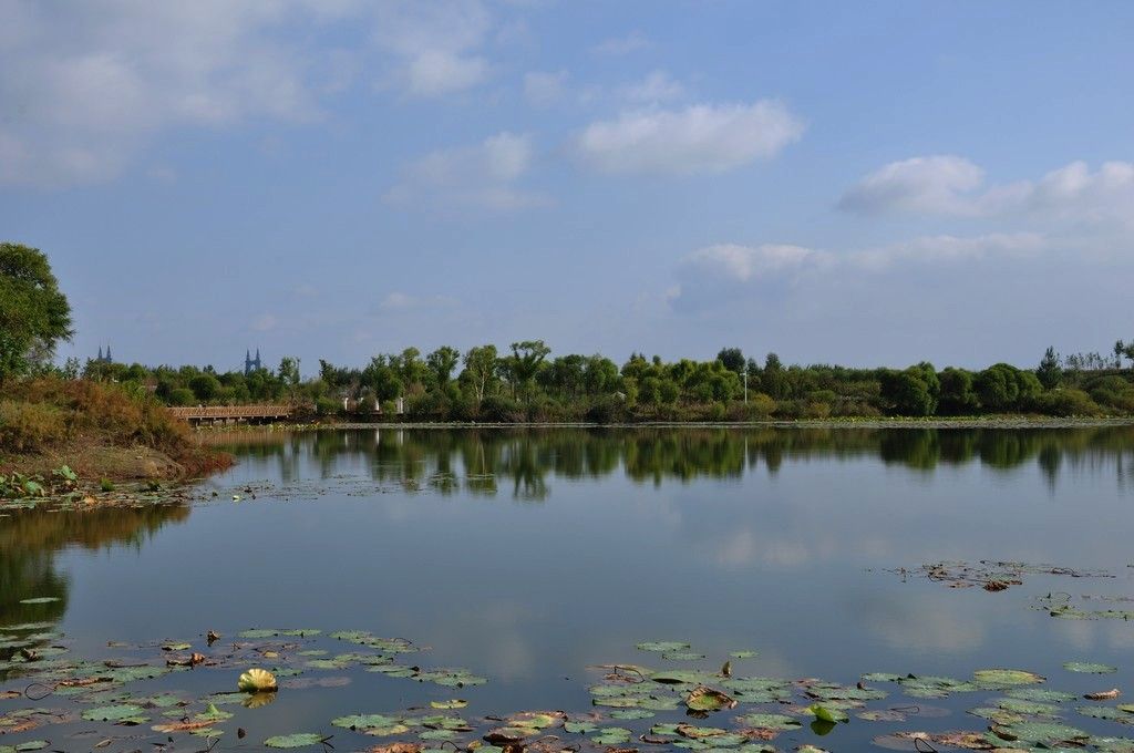 DSC_0202.jpg