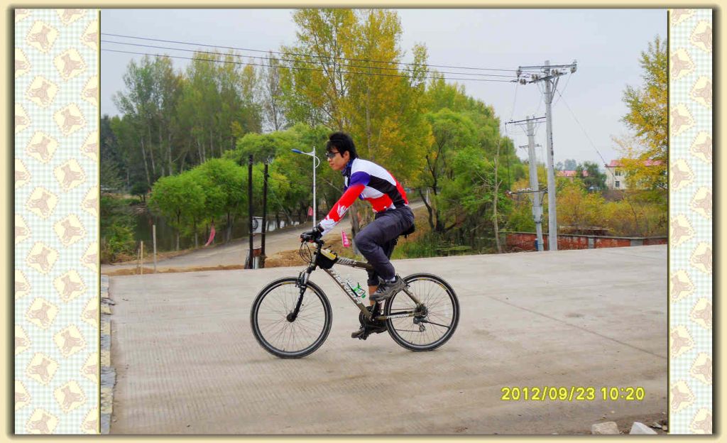 SDC11786.jpg