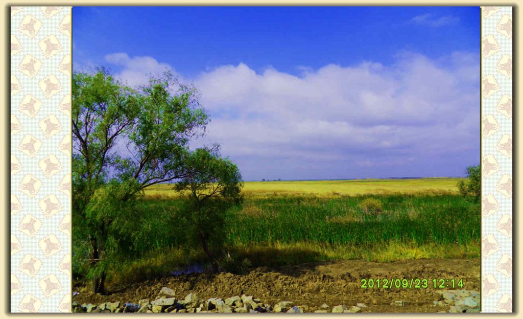 SDC11856.jpg