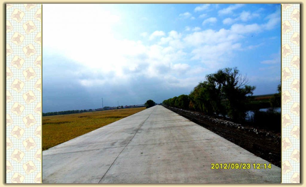 SDC11857.jpg