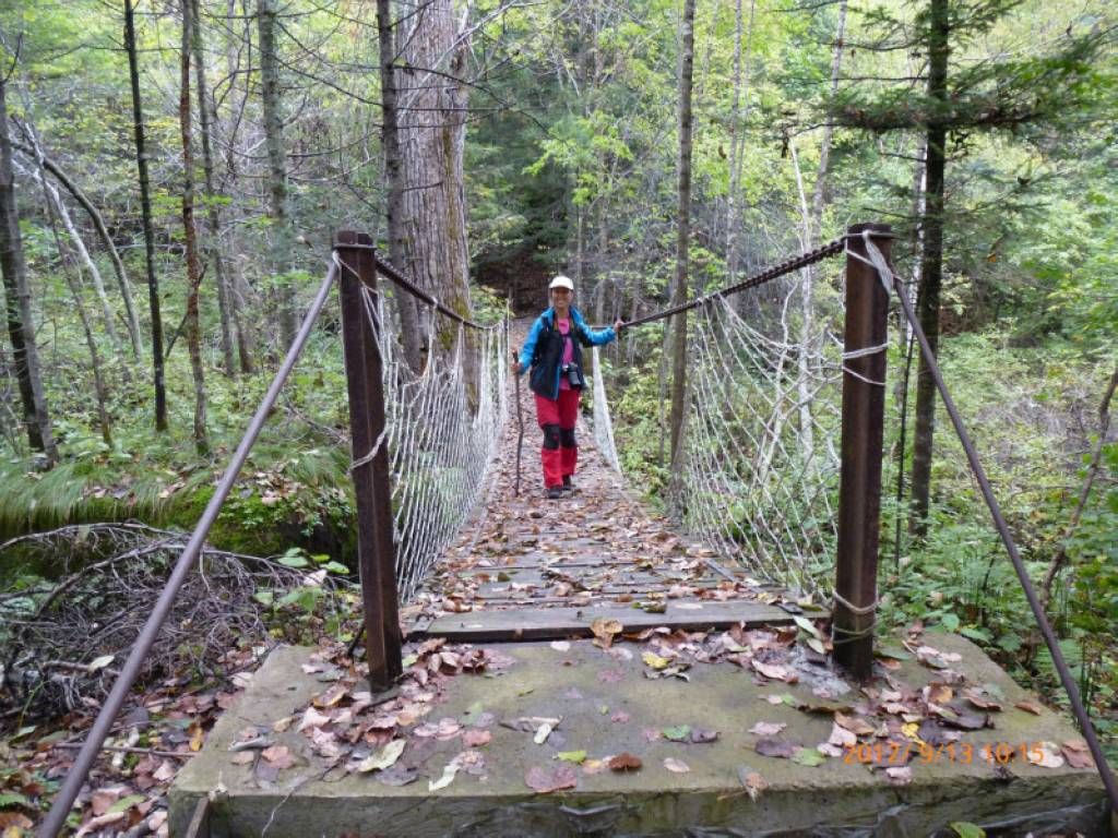 gAAAAISIIQ0g7QAAIAMAAFJ5Hg1M6wAA.jpg