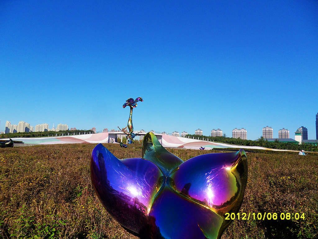 SDC12544.jpg