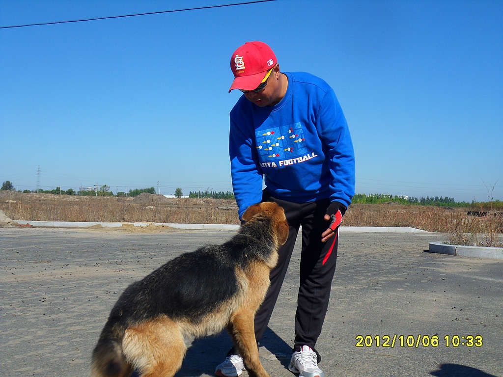 SDC12657.jpg