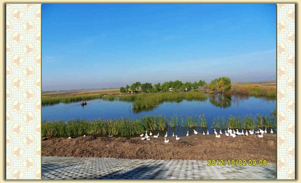 SDC12179.jpg