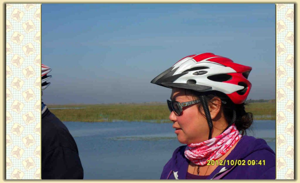 SDC12241.jpg