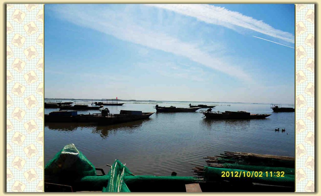 SDC12299.jpg