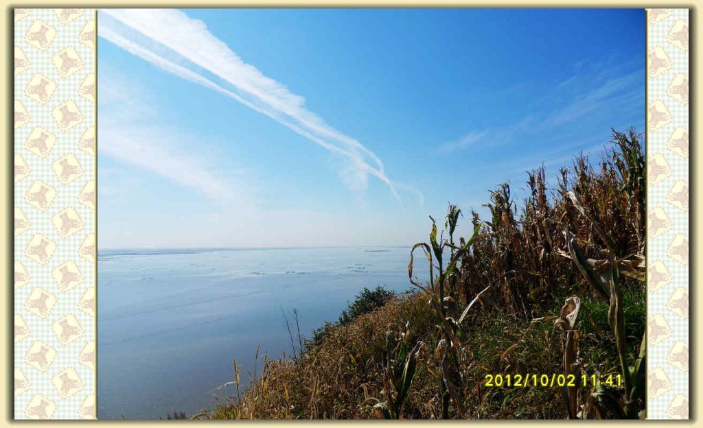 SDC12328.jpg