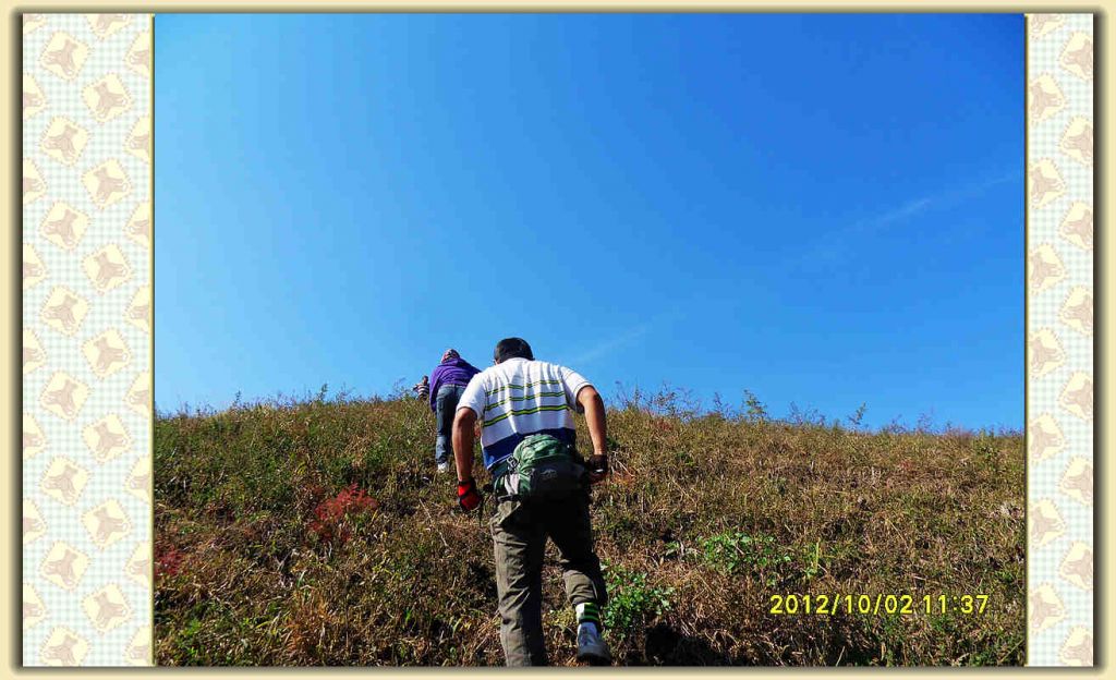 SDC12314.jpg