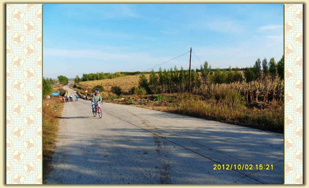 SDC12394.jpg