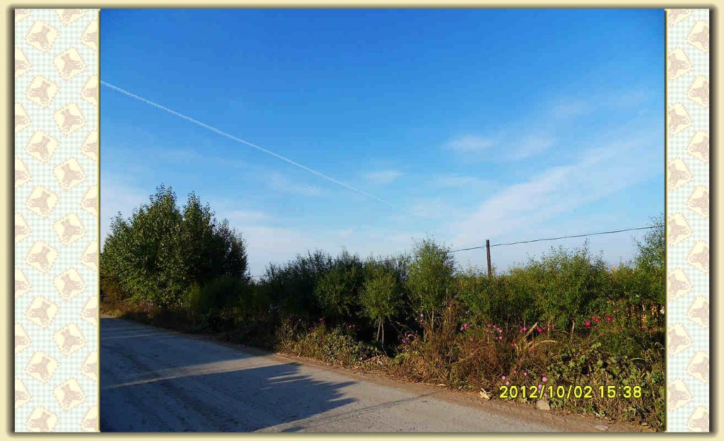 SDC12409.jpg