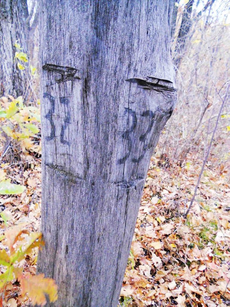 1014ƽС���� 045.jpg