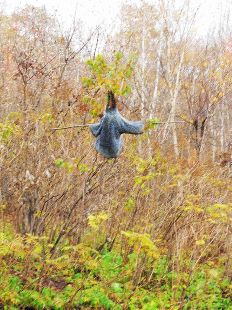 1014ƽС���� 052.jpg