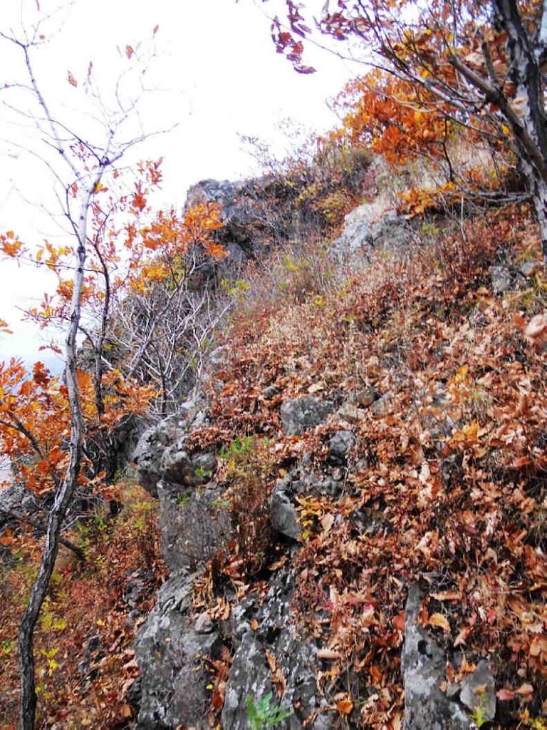 1014ƽС���� 068.jpg