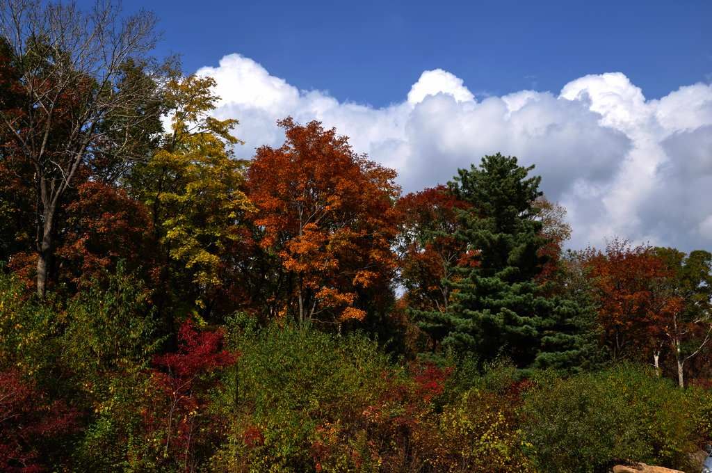 DSC_0415.jpg
