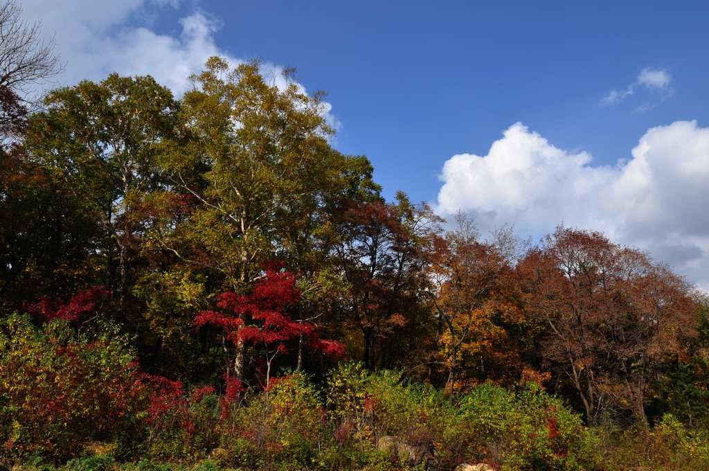 DSC_0418.jpg